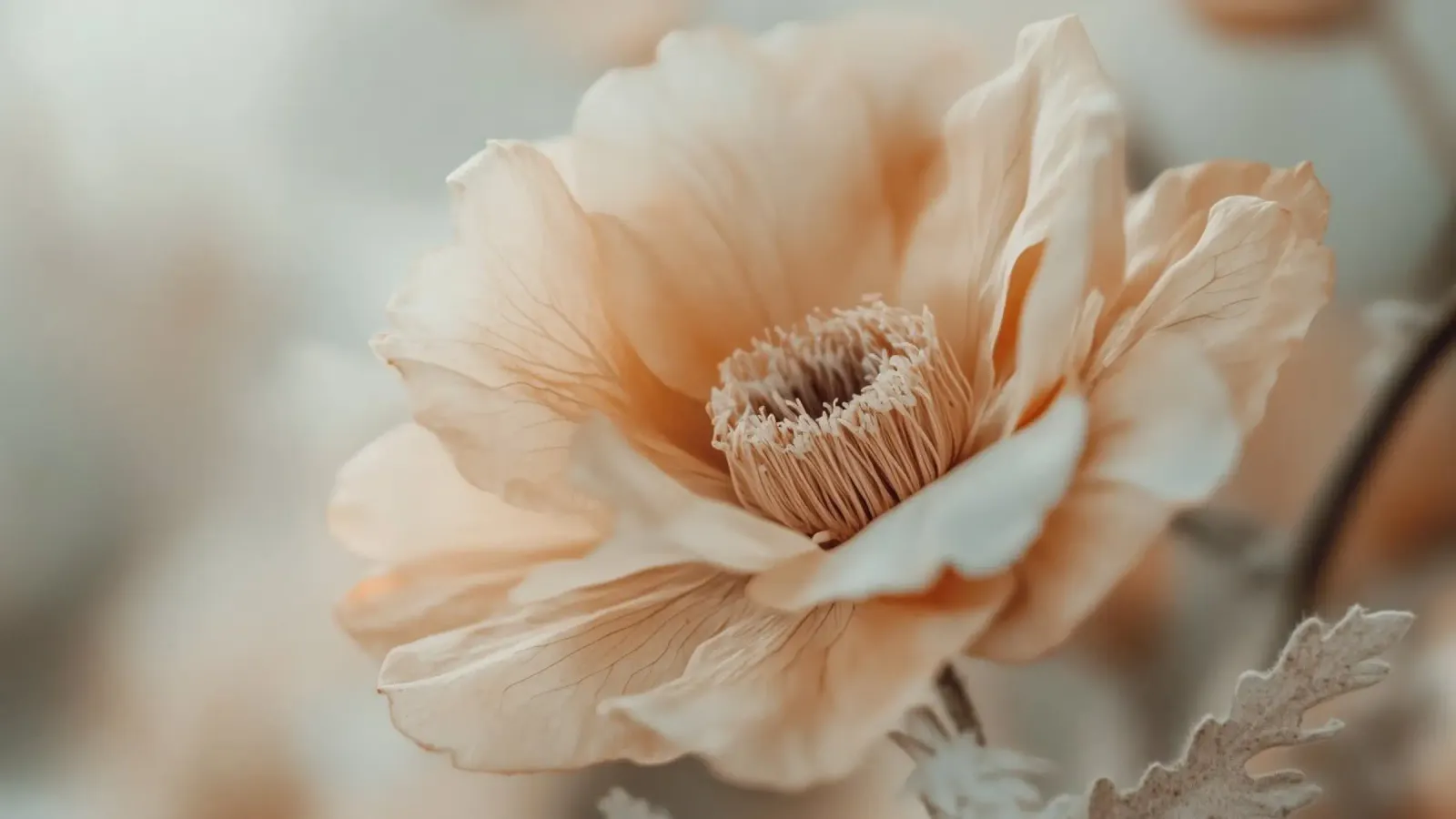 Gentle Flora No 02 metacrilato de treechild