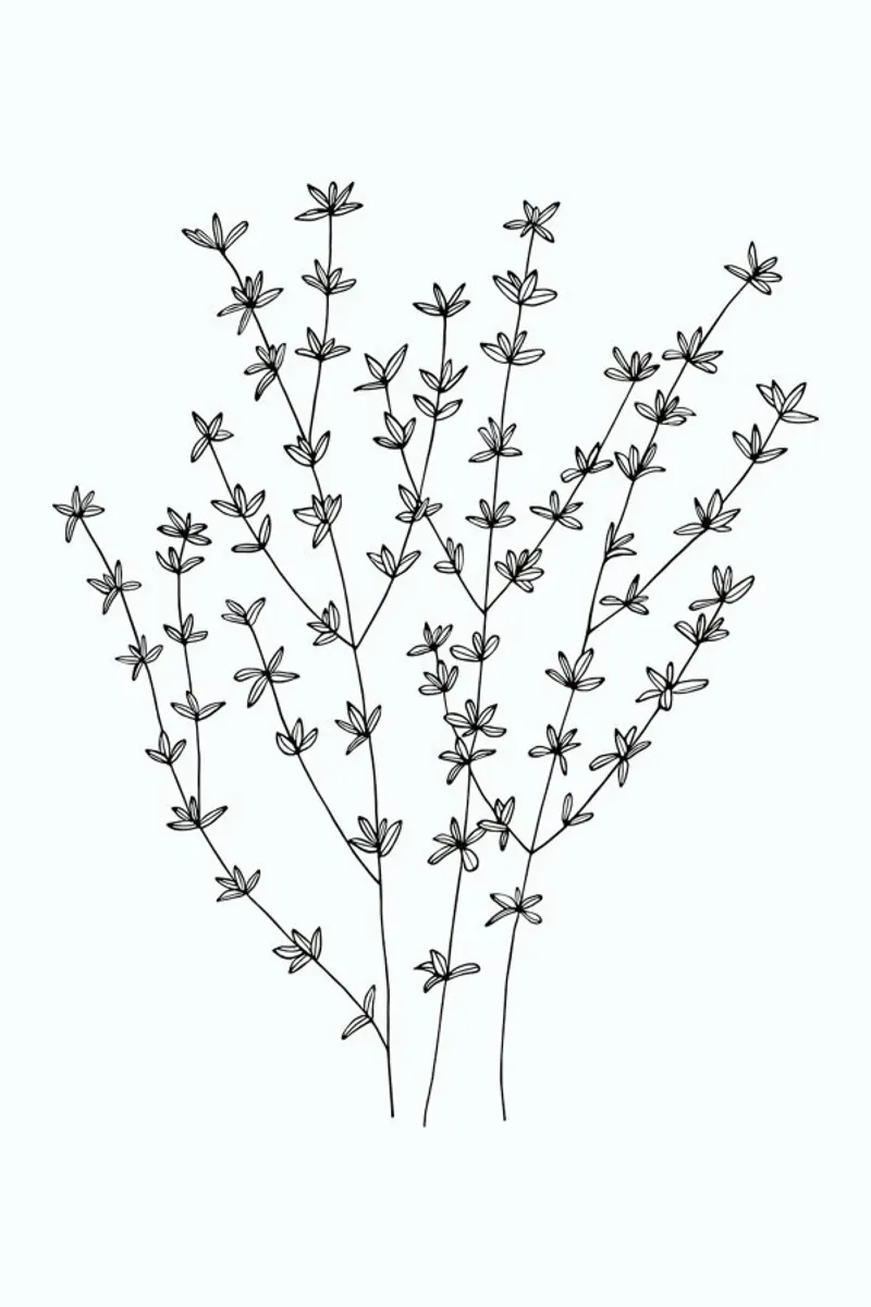 Thymian poster con telaio in plastica da Studio Karamelo