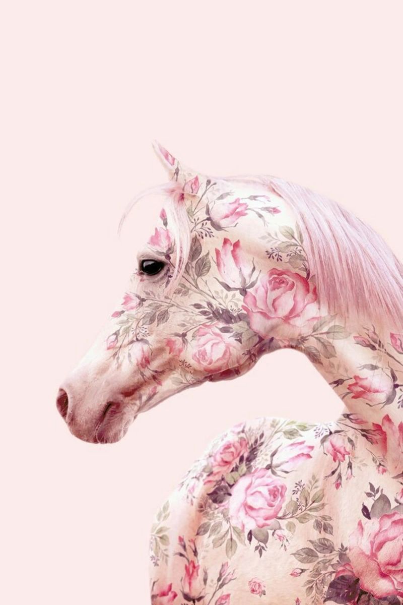 Floral Horse poster by Paul Fuentes Design