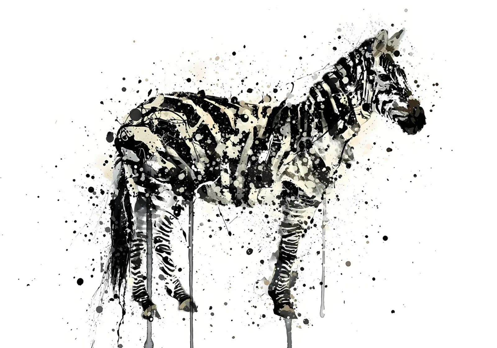 Watercolor Zebra pellicola backlit da Allaire
