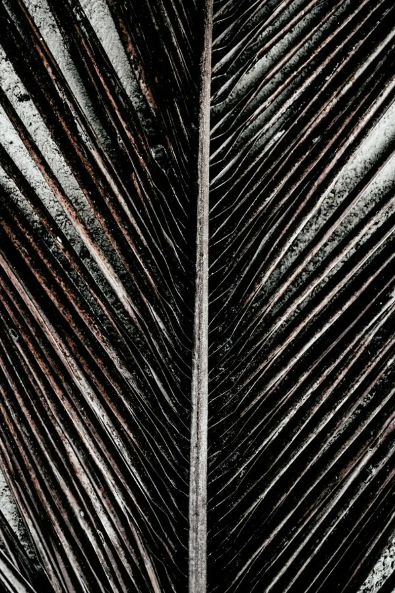 Beach Palm Patterns 12 metacrilato de Chris Abatzis