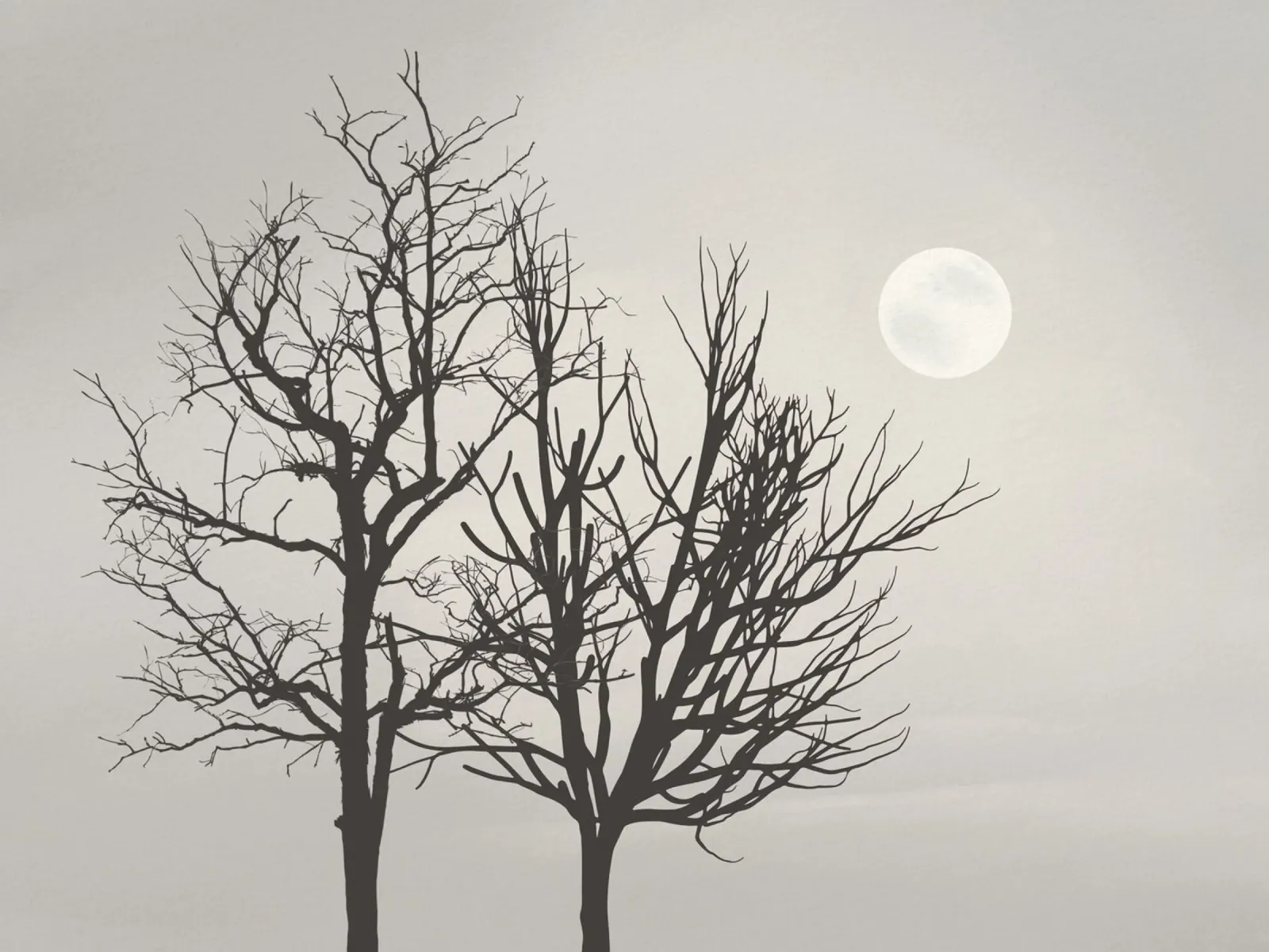 Bright moon light hahnemühle by Little Dean