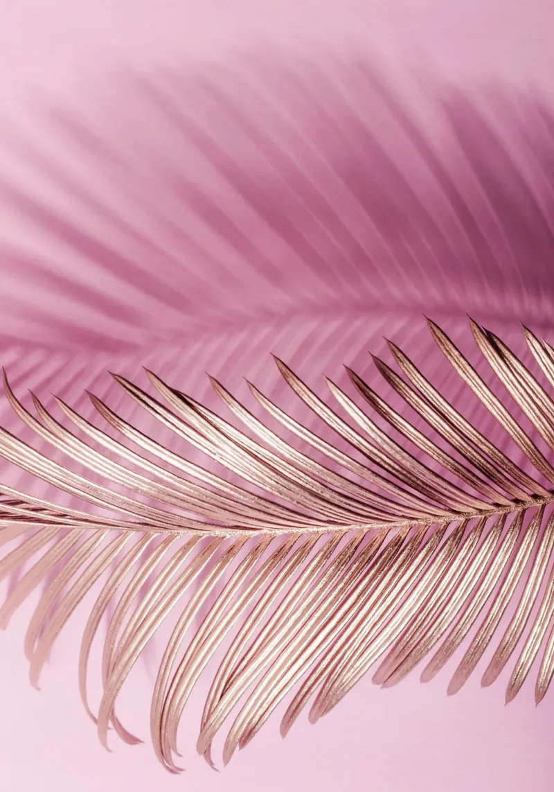 Foglia d'oro su sfondo rosa poster con telaio in plastica da Yaso Design & Art