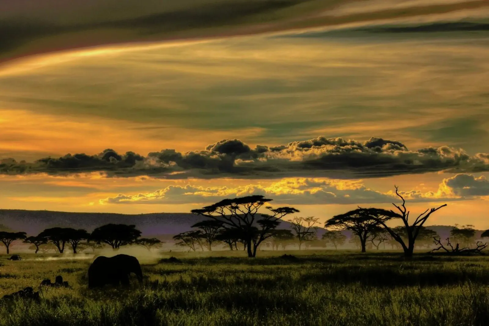 Africa - Amnon Eichelberg carta hahnemühle da Pictufy