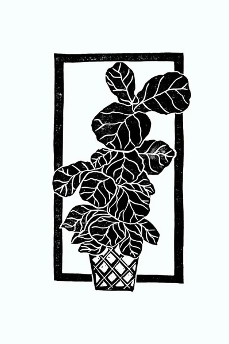 Fiddle Leaf Fig pellicola backlit da Bianca Green
