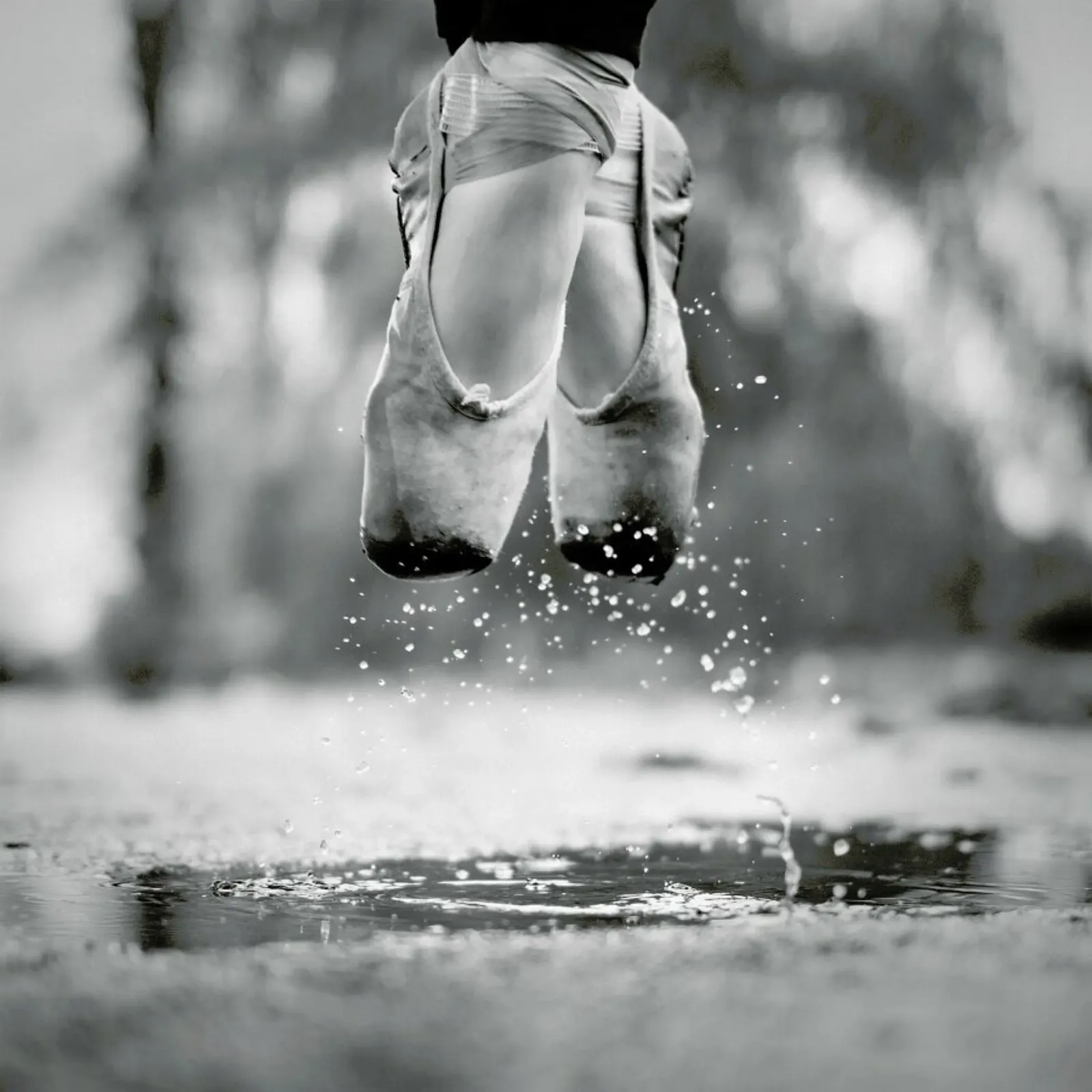 The Day We Went Jumping in Puddles - Howard Ashton-Jones poster da Pictufy