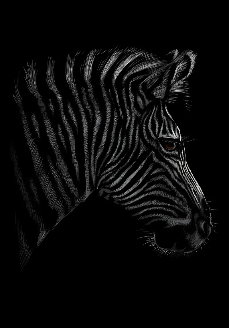 Zebra pellicola backlit da Delaplane