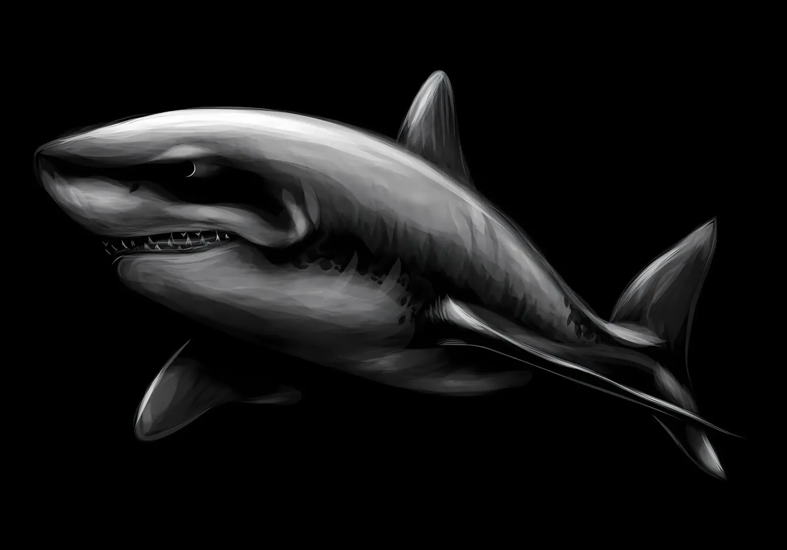 Shark backlit film by Delaplane