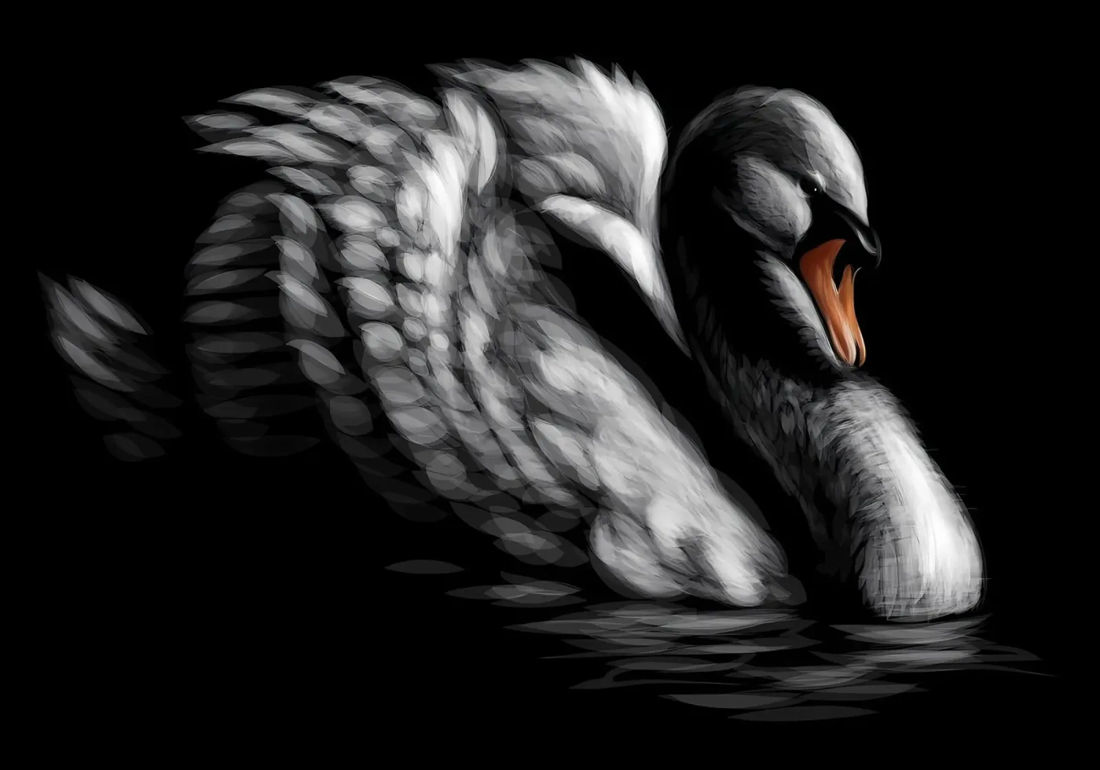 Cigno pellicola backlit da Delaplane