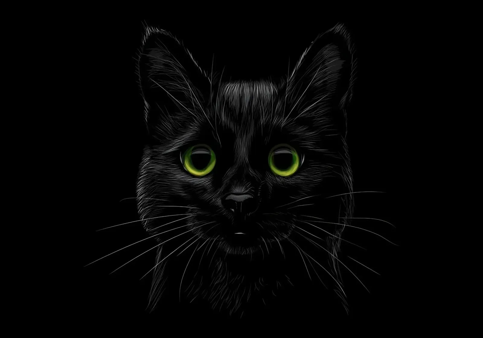 Cat hahnemühle by Delaplane