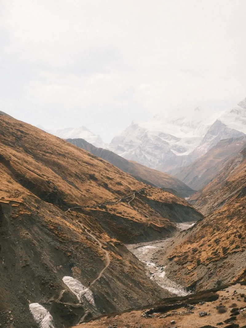 Winding Trails of the Himalayas pellicola backlit da FujiPrints