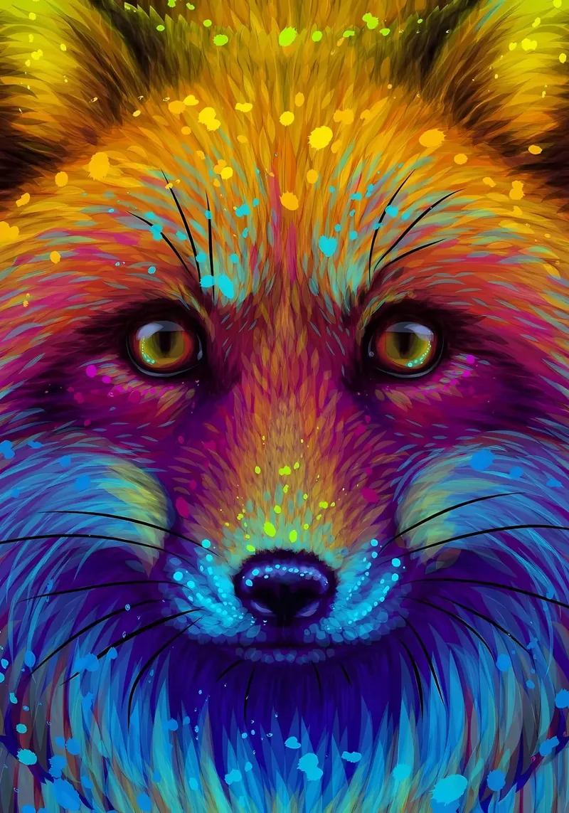 Colorful Fox acrylic glass by Delaplane