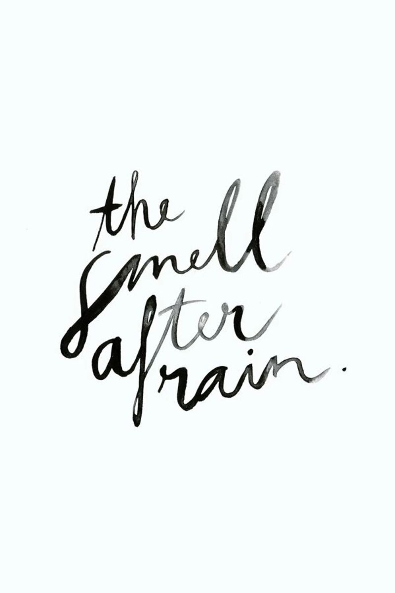 The Smell Poster von typealive