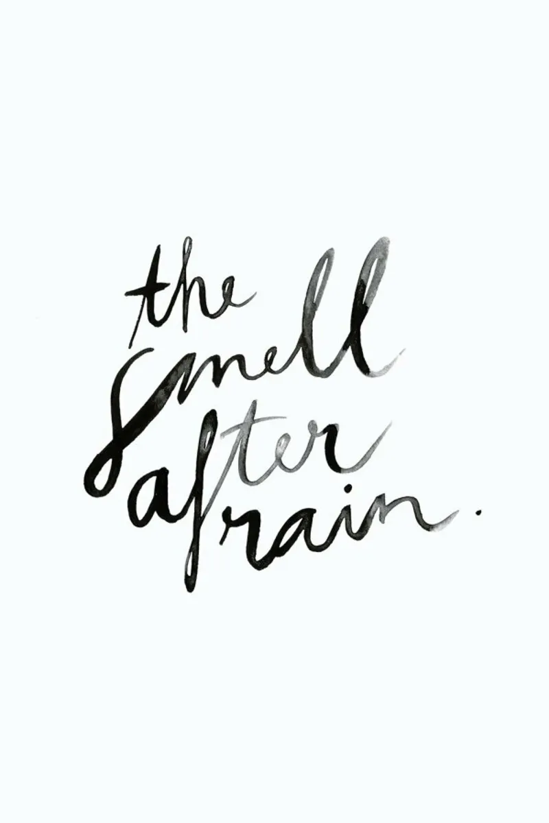 The Smell poster con telaio in plastica da typealive