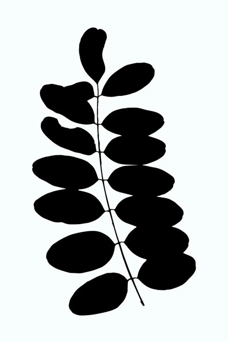 Leaf Specimen 1 pellicola backlit da Oh Darling