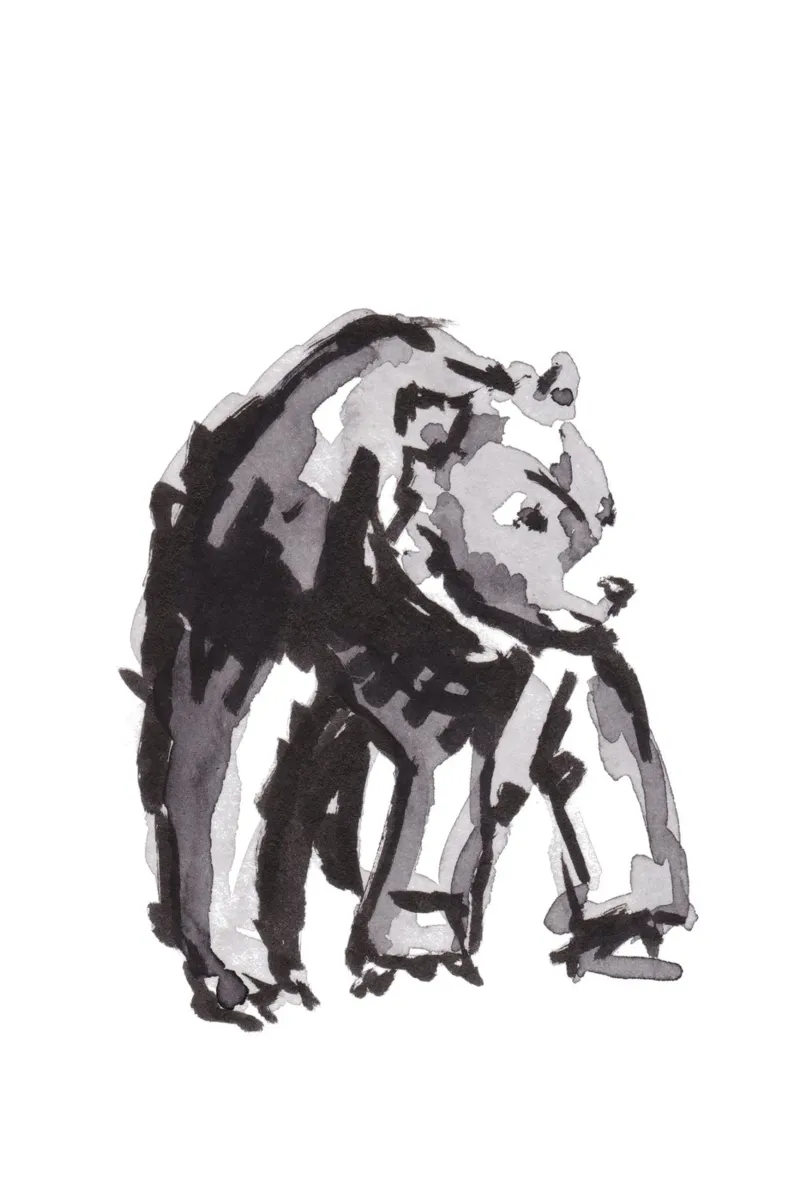 Bear carta hahnemühle da KRUTH DESIGN