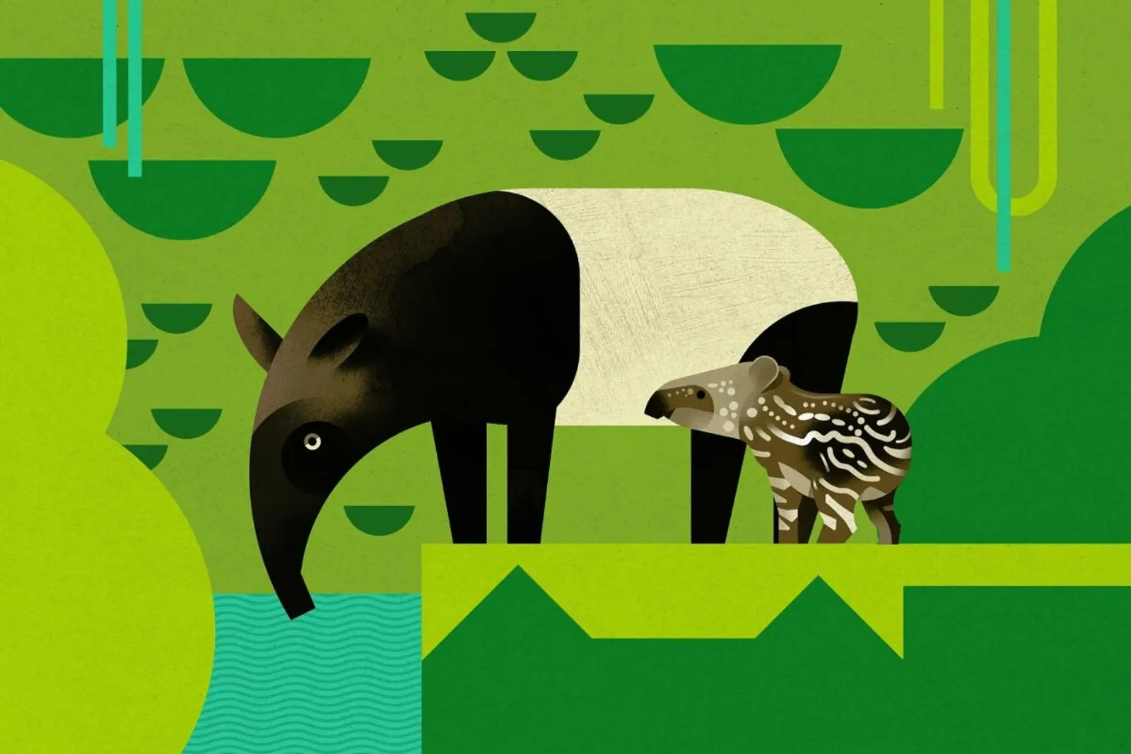Tapir poster da Dieter Braun