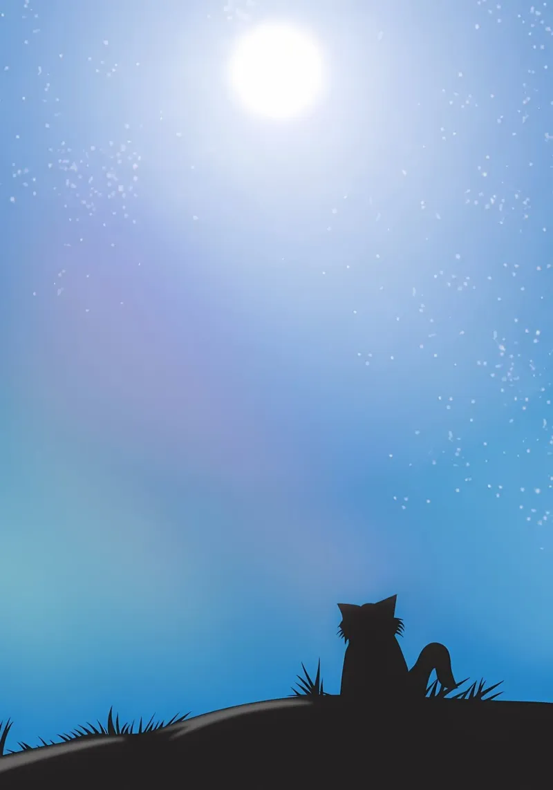 Gatto Luna e Stelle pellicola backlit da Mikesell