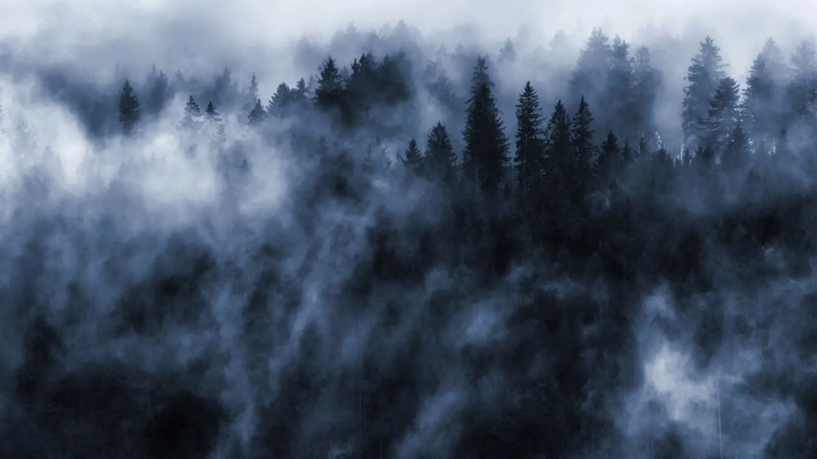 Foresta di nuvole poster da Juergen Wiesler