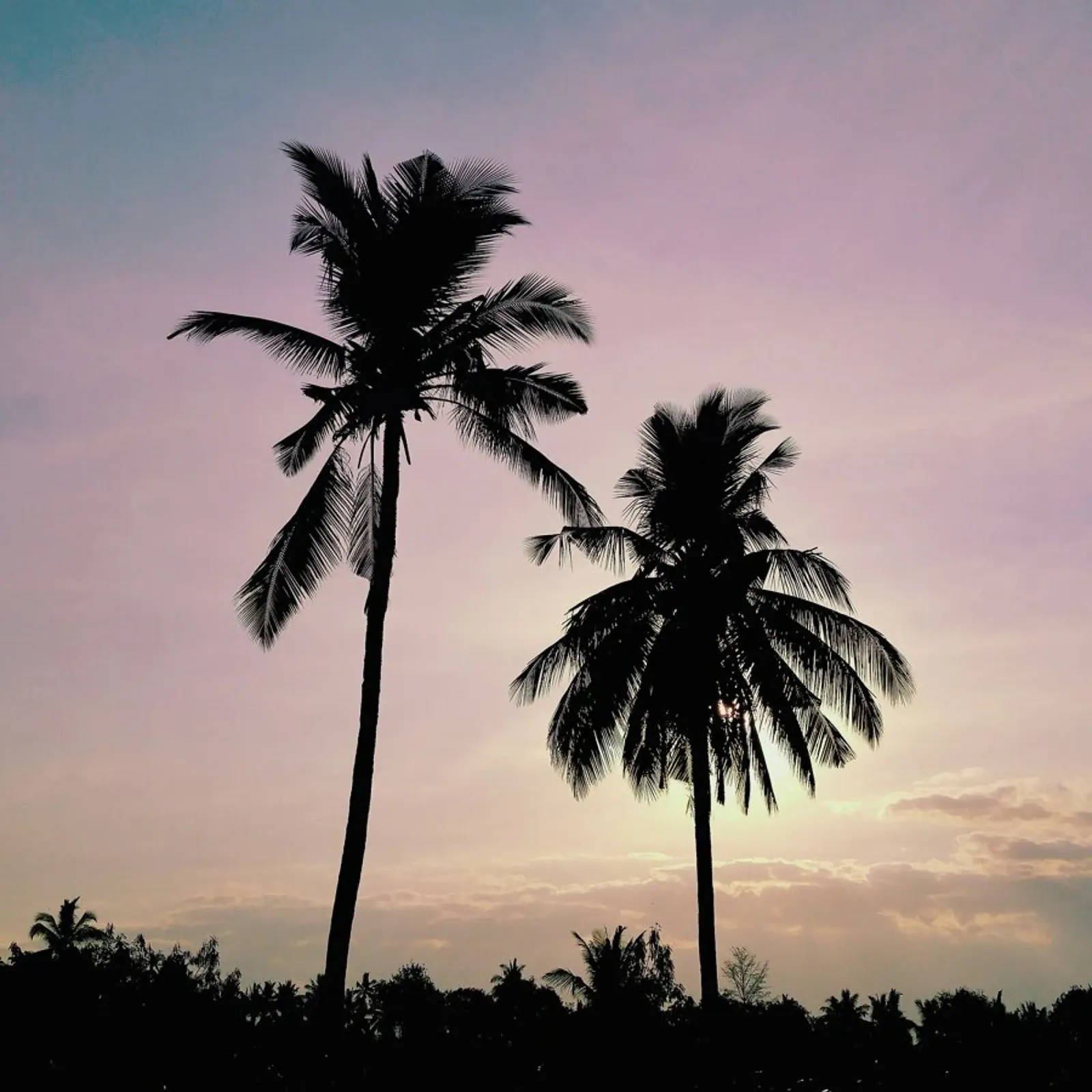 Philippine Sky by @elixir_kun pellicola backlit da EyeEm Mobile GmbH