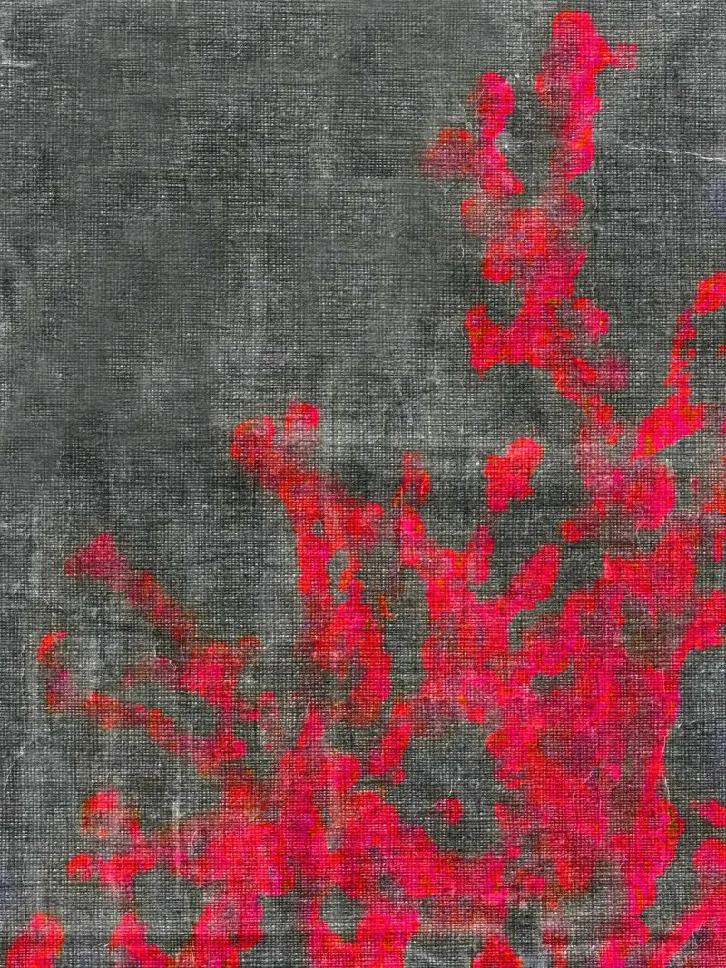 Abstracte roze takken forex-plaat van Teresa André