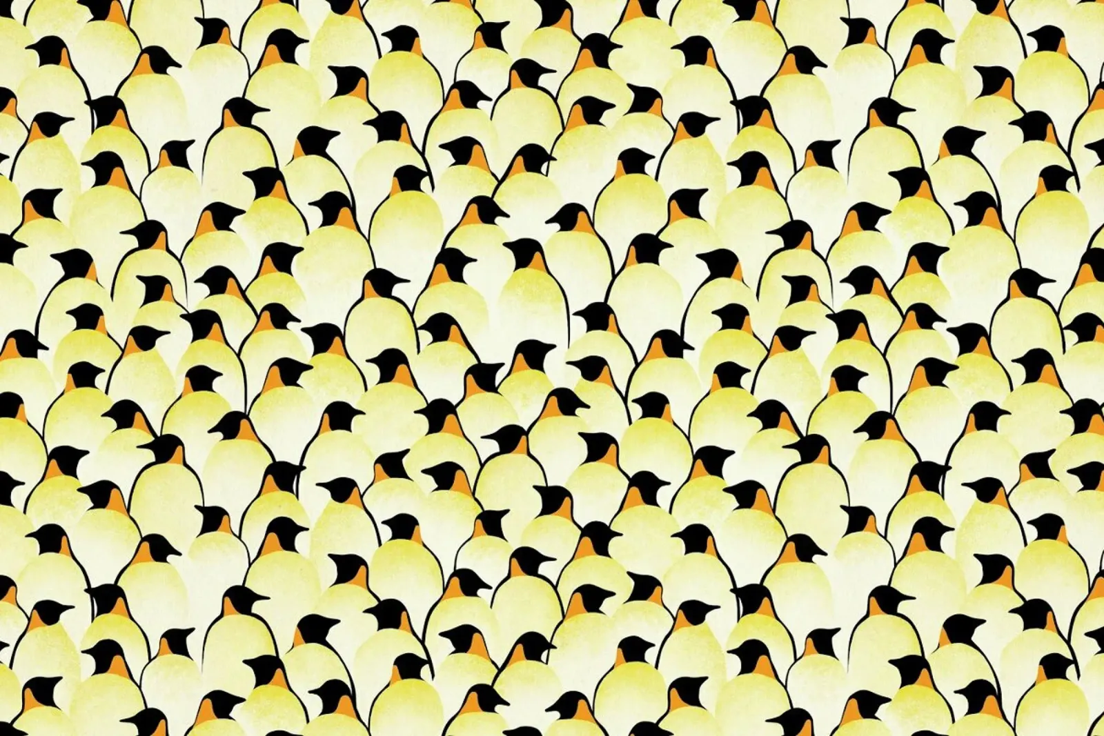 Penguins pellicola backlit da Florent Bodart