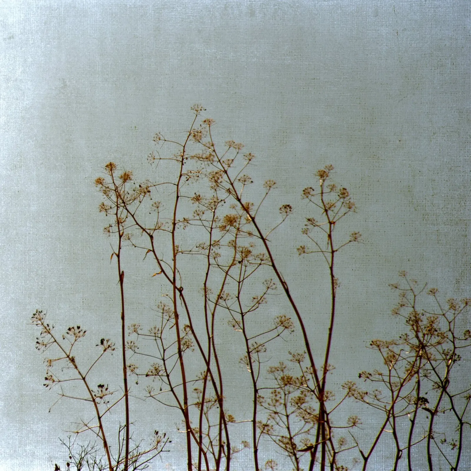 Natura in blu e grigio poster con telaio in legno da Teresa André