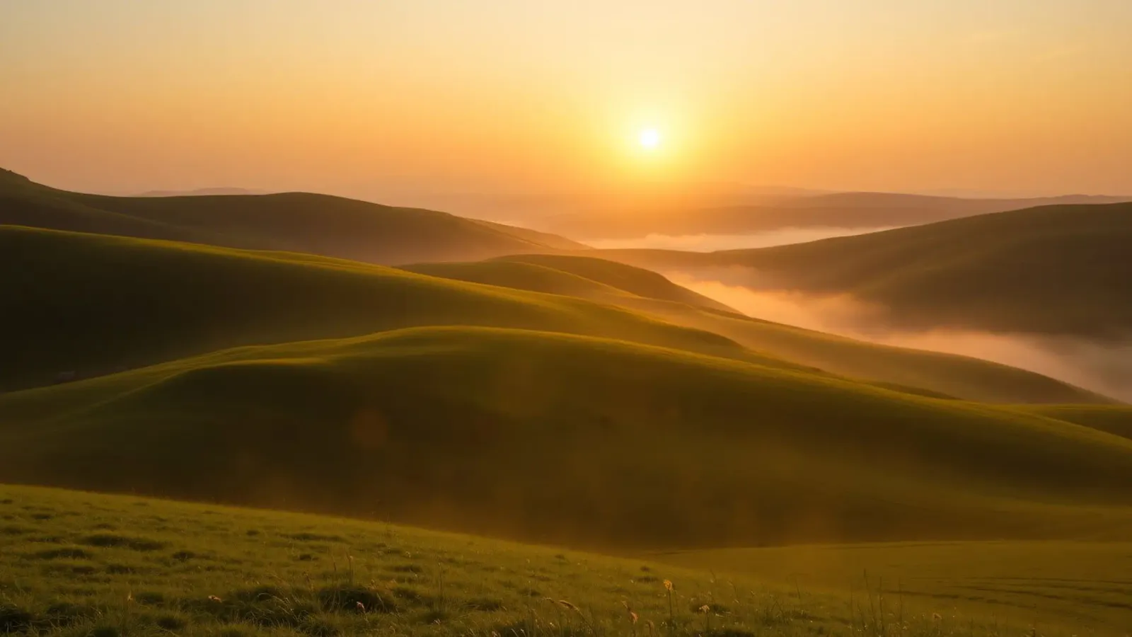Tramonto su dolci colline verdi con nebbia che crea un'atmosfera serena. pellicola backlit da DesignDoodle