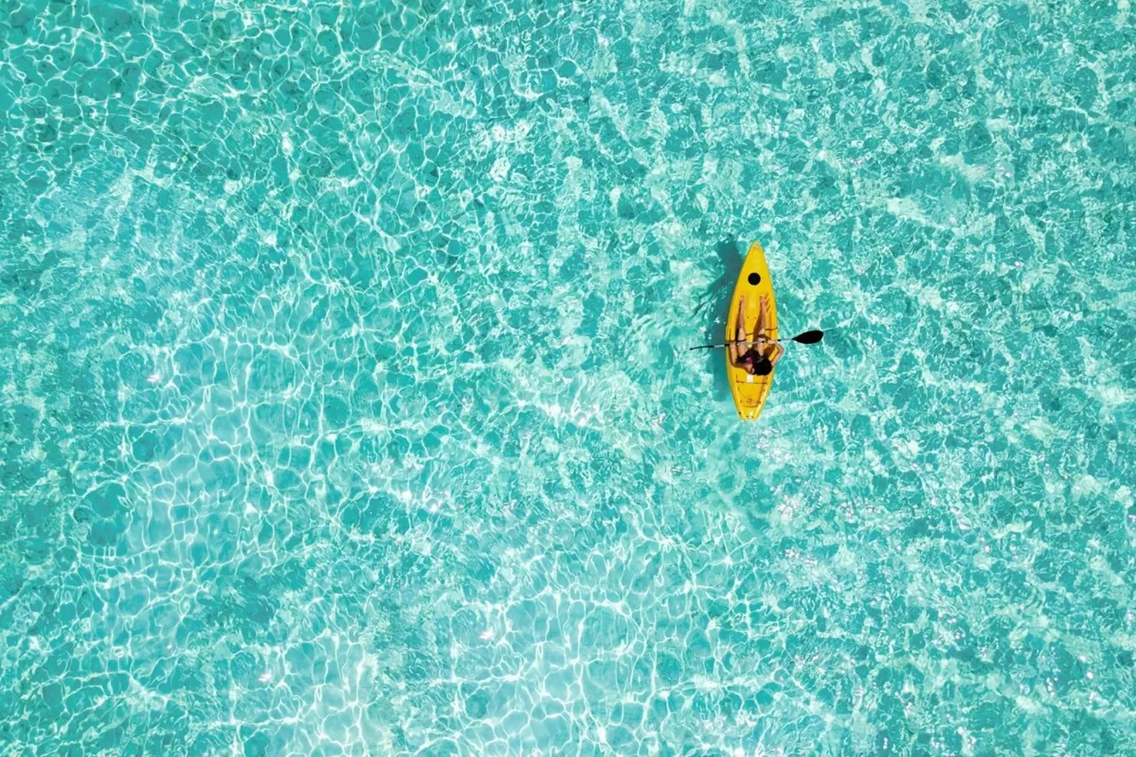 Paddle by @moofushi alluminio dibond da EyeEm Mobile GmbH