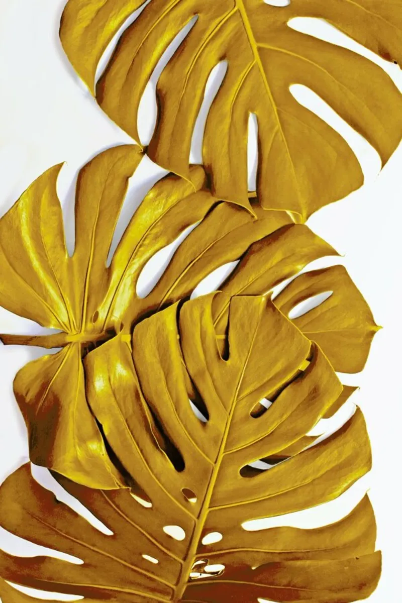 Monstera Gold carta hahnemühle da Elena Veronese
