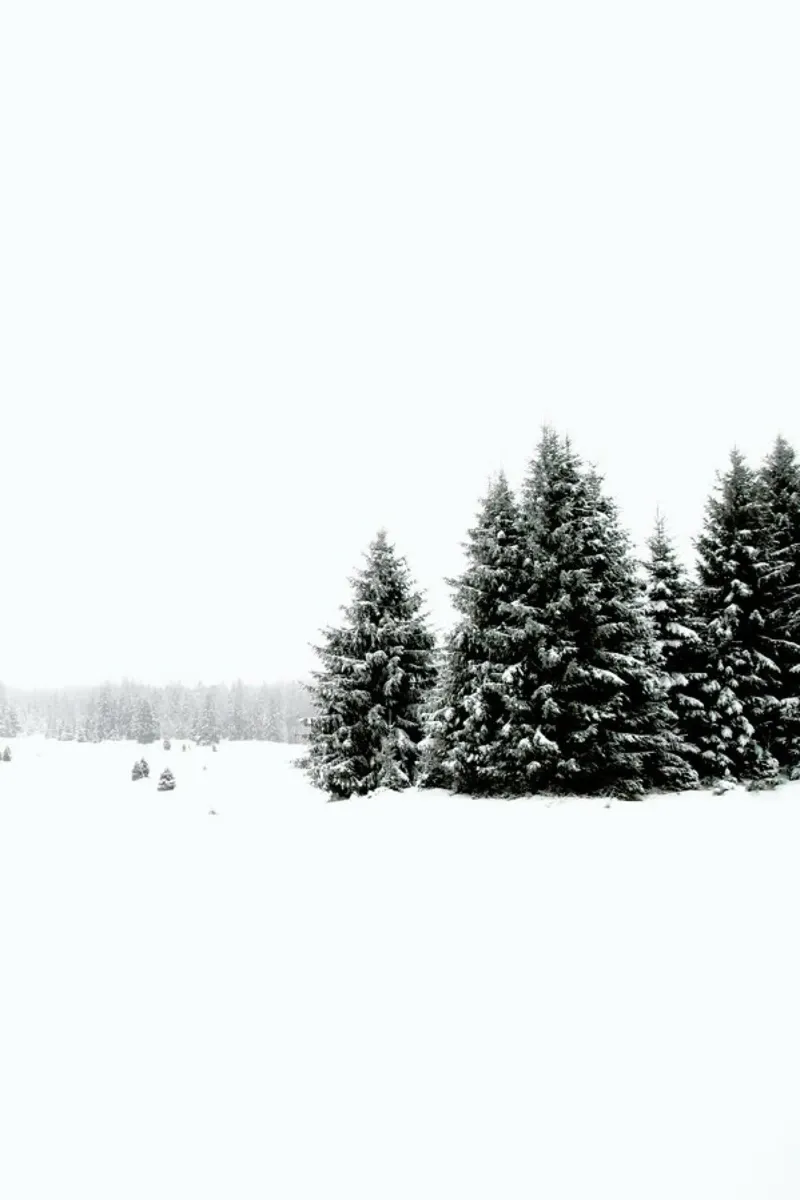 White White Winter 2/2 poster con telaio in legno da Studio Nahili