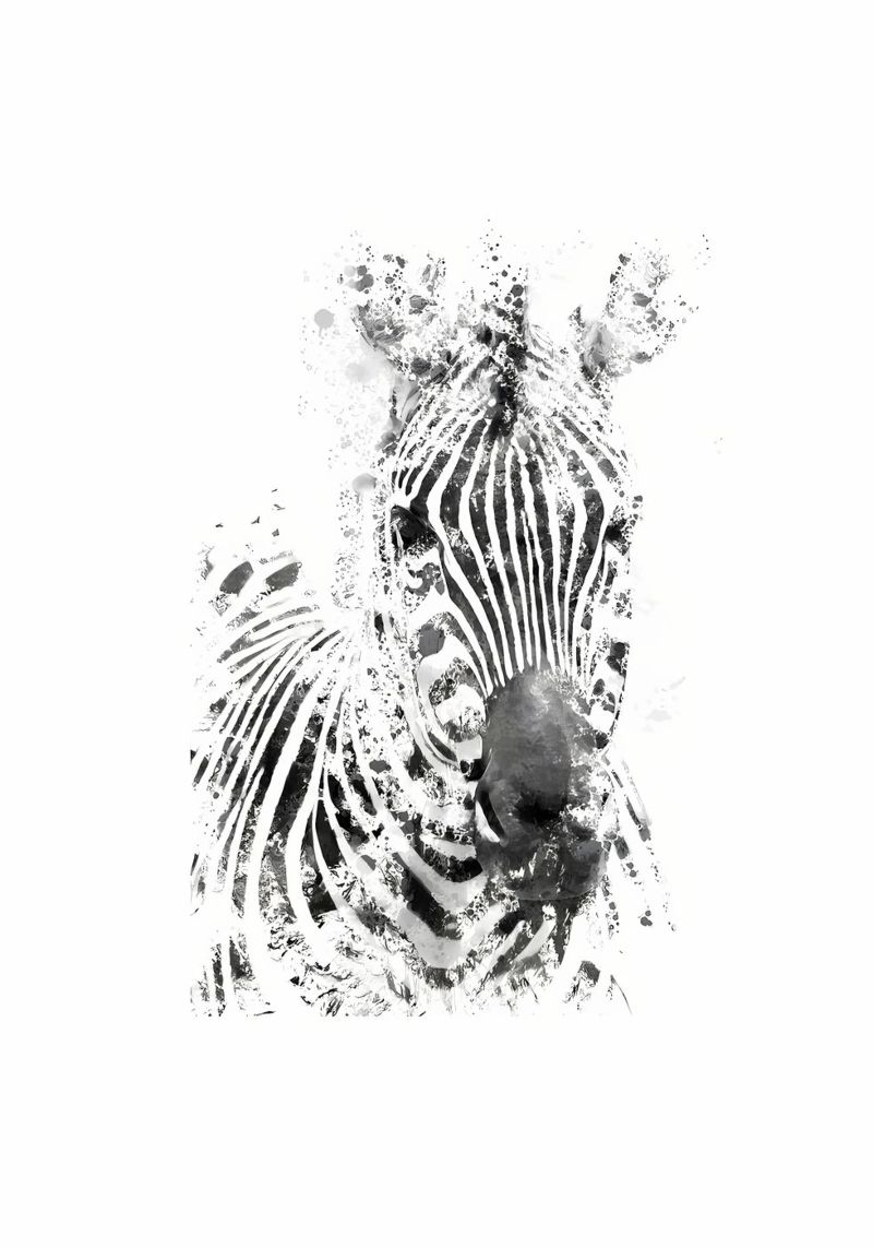 zebra pellicola backlit da Book