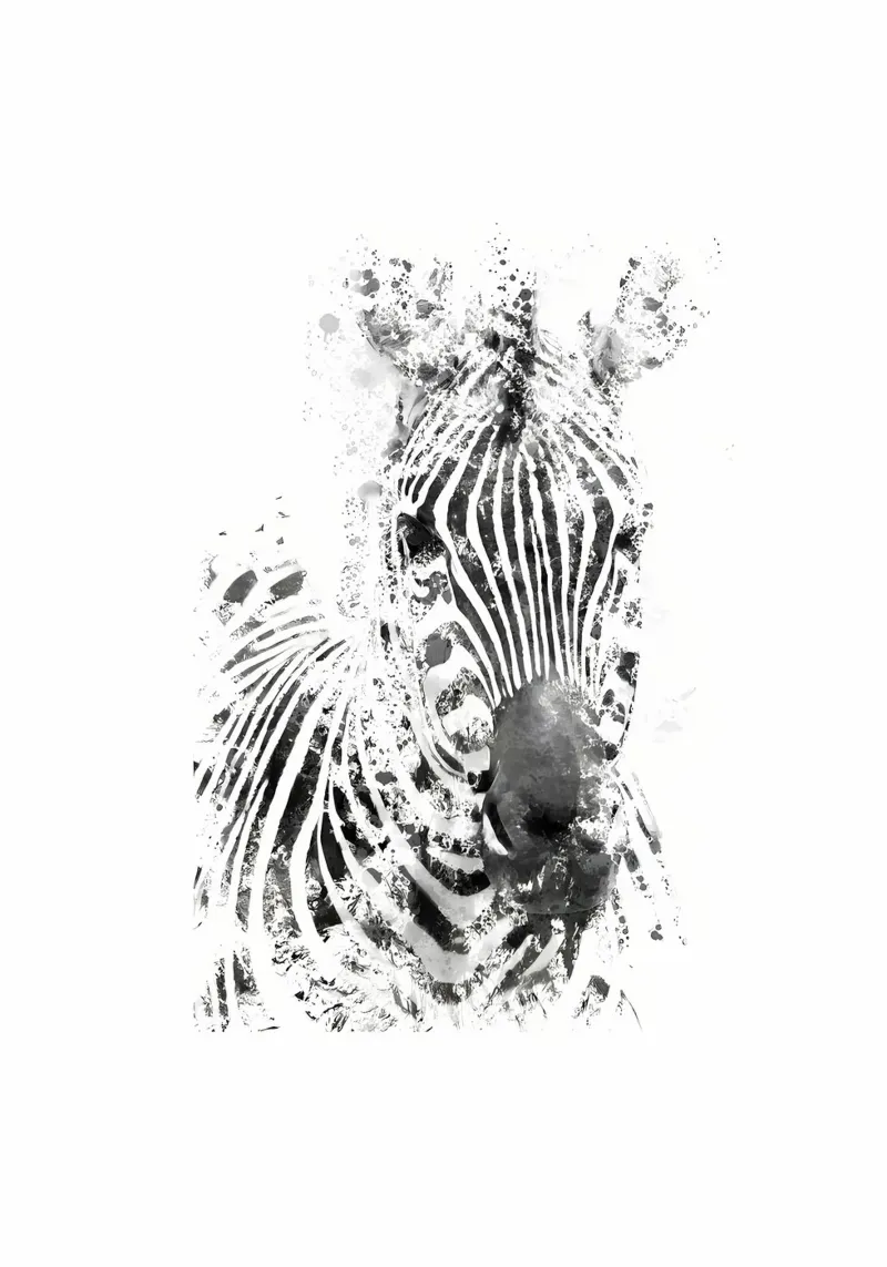 zebra pellicola backlit da Book