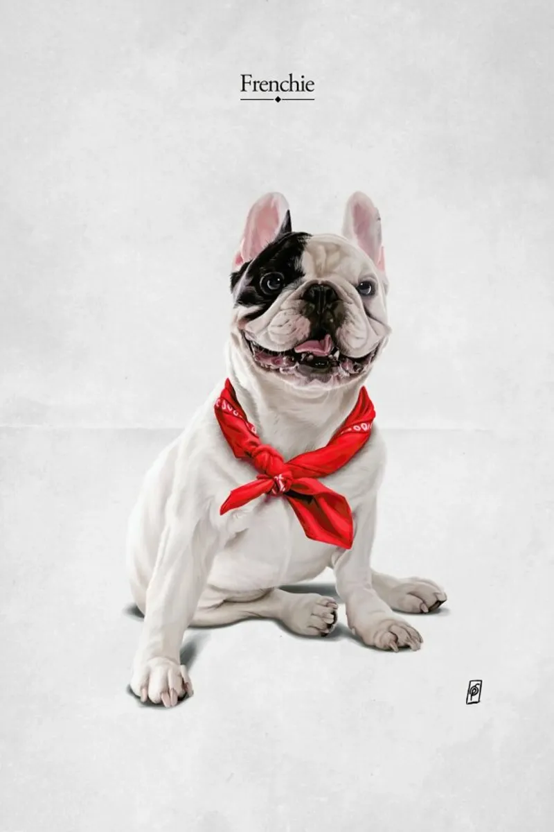 Frenchie (Titled) poster con telaio in alluminio da Rob Art | Illustration