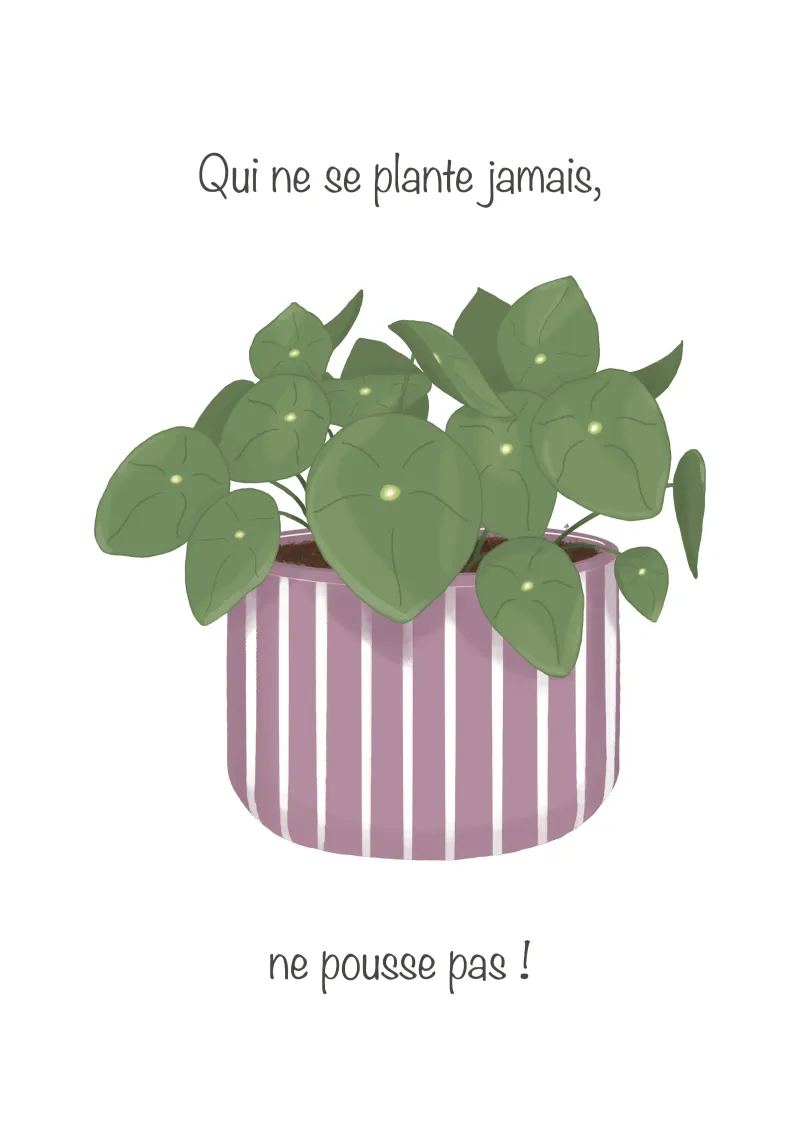 If it doesn't grow, it doesn't grow! hahnemühle by Atelier Fabe