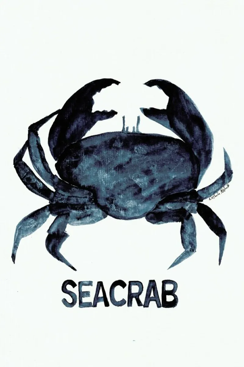 Seacrab pellicola backlit da Nathys_illustration