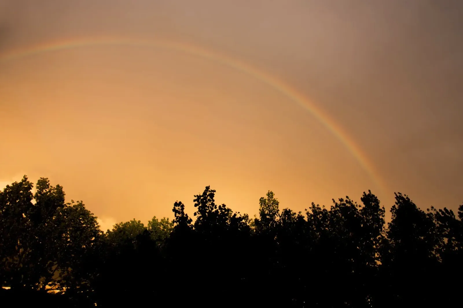 Arcobaleno al tramonto pellicola backlit da Teresa André