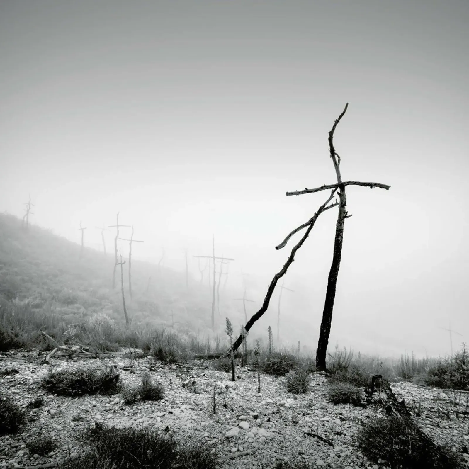 Forest of Crosses 3 carta hahnemühle da Håggard Photography | Ronny Behnert