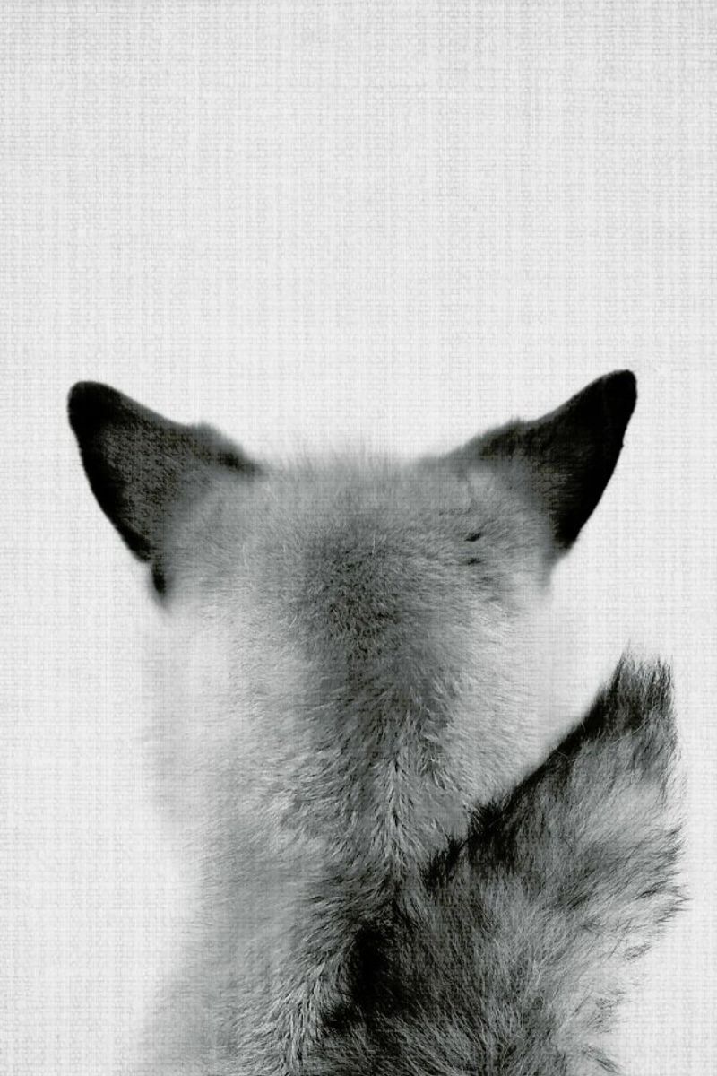 Print 293 Poster von Lila x Lola