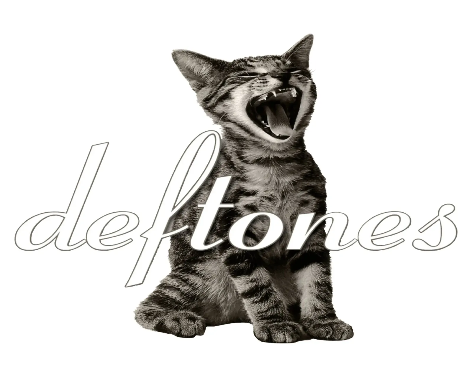 Gatto arrabbiato poster da Musc-Fav