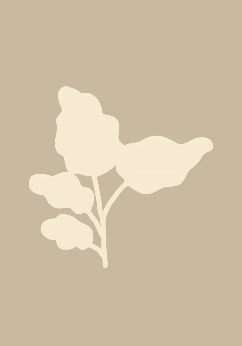 botanico minimalista plexiglass da Book