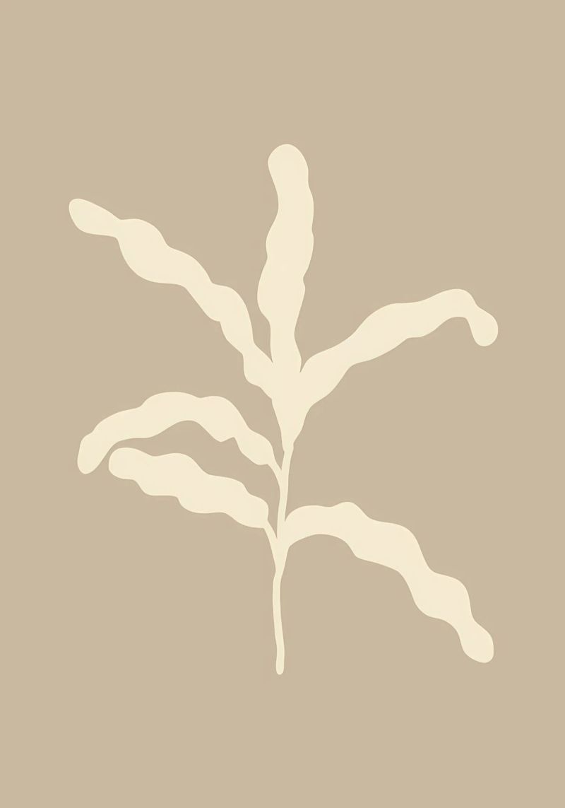 botanico minimalista plexiglass da Book