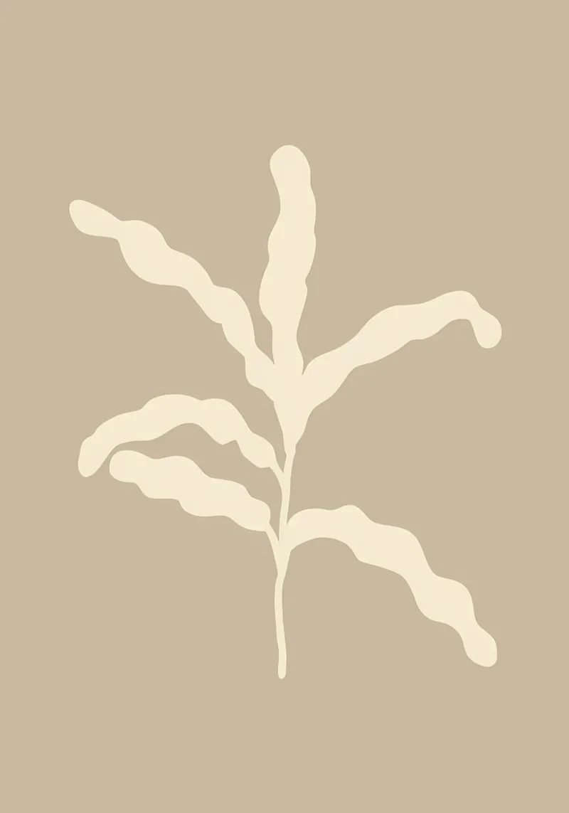 botanico minimalista plexiglass da Book