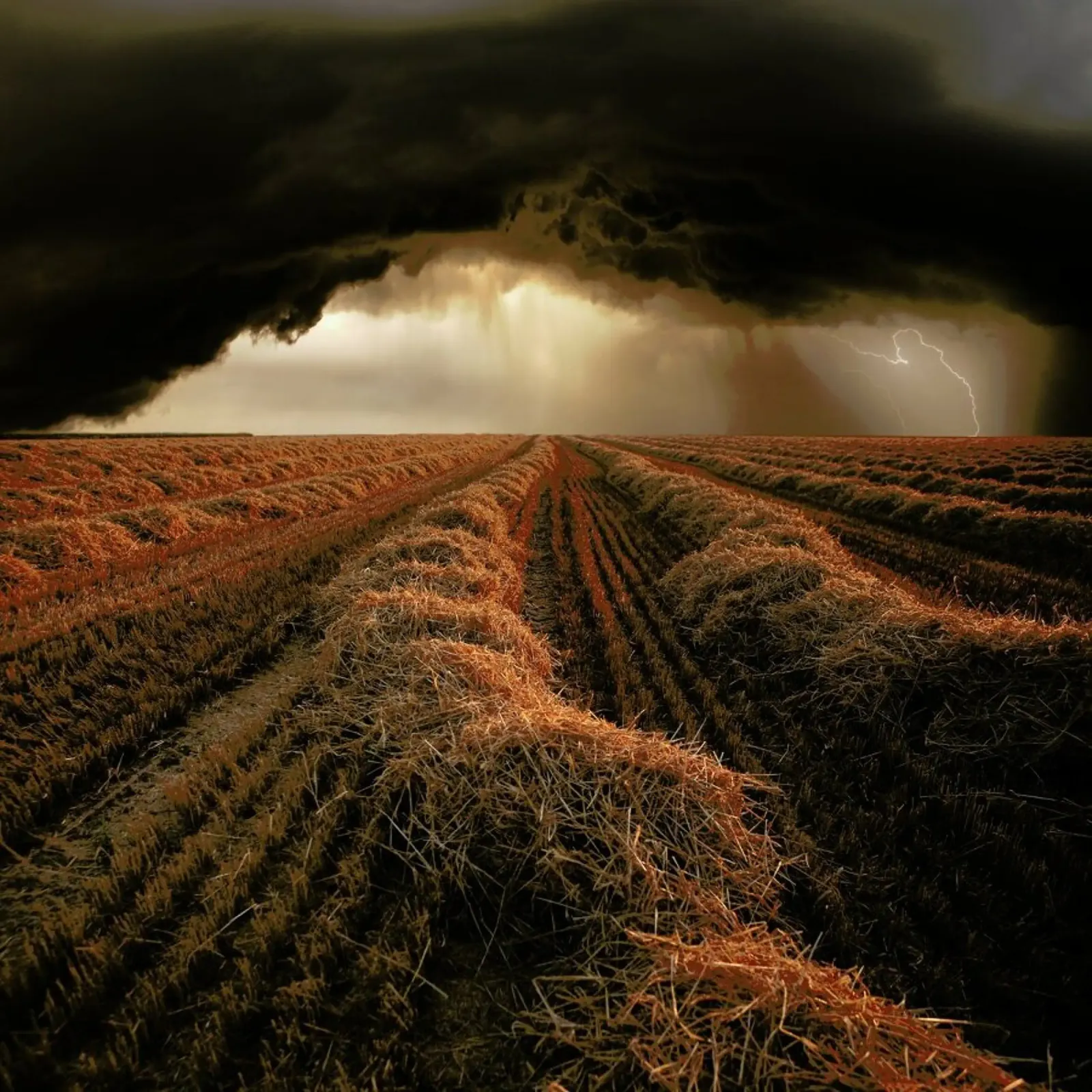 Untitled - Nicolas Schumacher alluminio dibond da Pictufy