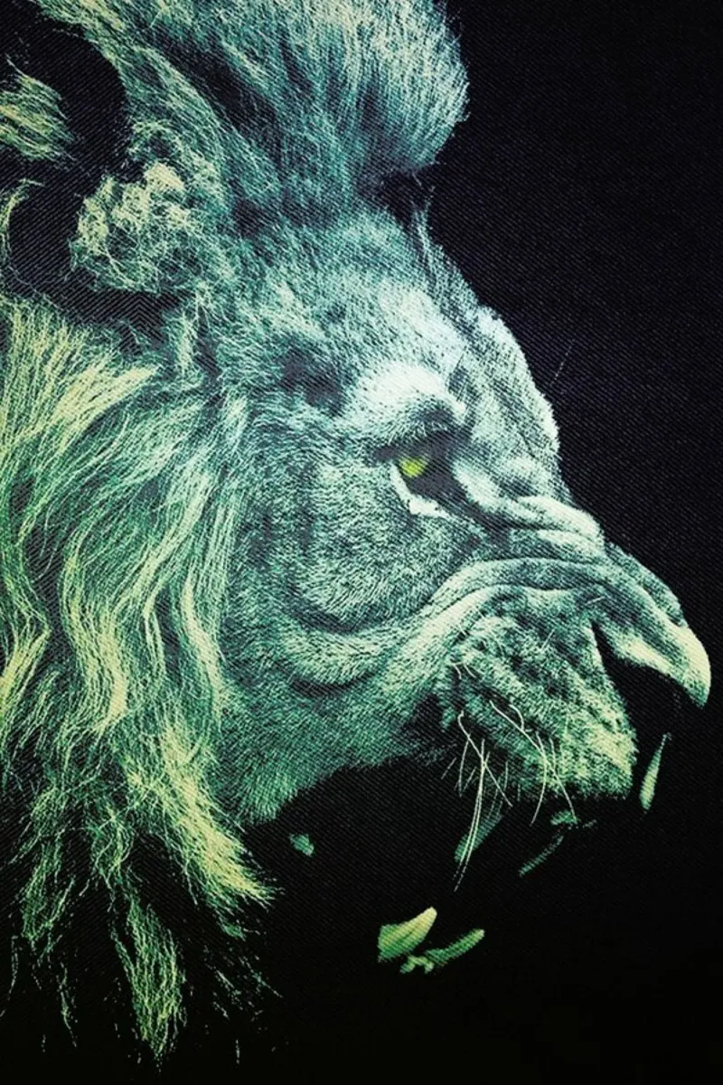 Lion pellicola backlit da a Love Supreme