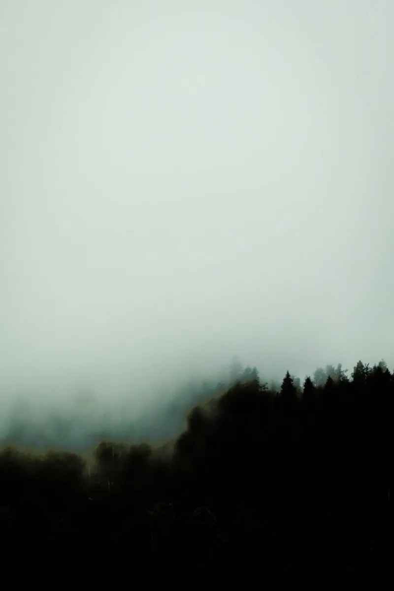 Julia's Forest in the Fog plexiglass da Babett Schultze