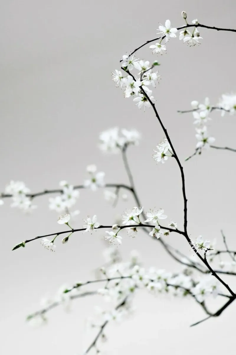 Spring Is in the Air pellicola backlit da Studio Nahili