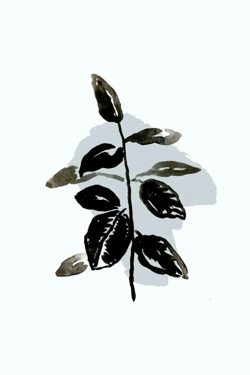 Plants & Colours 8 pannello forex da Farina Kuklinski