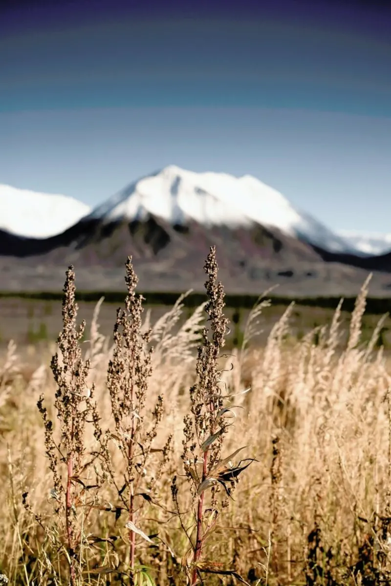 Tundra poster con telaio in legno da Cordula Schaefer
