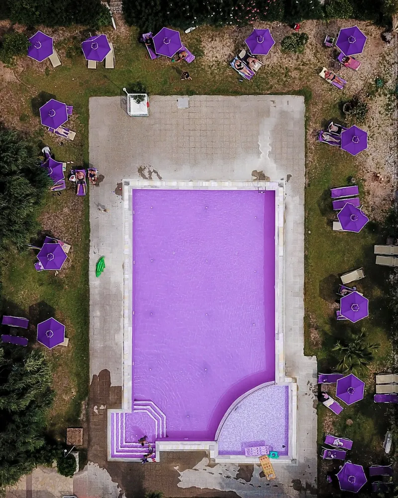 Purple Swim poster met kunststof frame van Framative